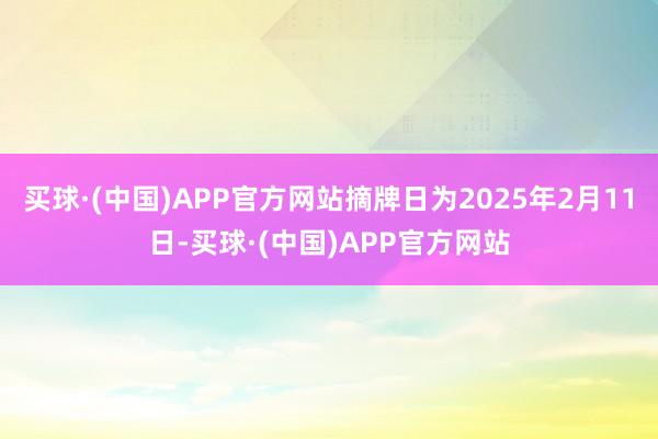 买球·(中国)APP官方网站摘牌日为2025年2月11日-买球·(中国)APP官方网站