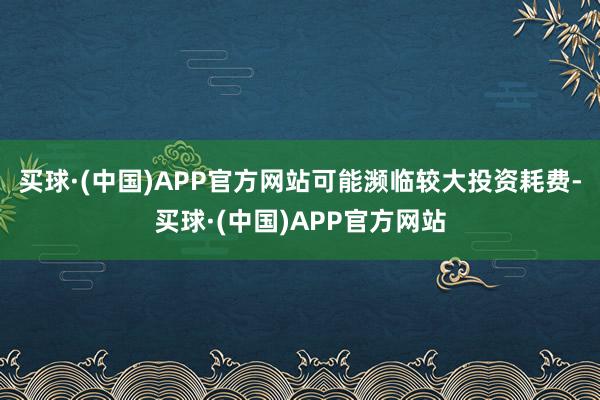 买球·(中国)APP官方网站可能濒临较大投资耗费-买球·(中国)APP官方网站