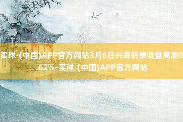 买球·(中国)APP官方网站3月6日兴森转债收盘高潮0.62%-买球·(中国)APP官方网站