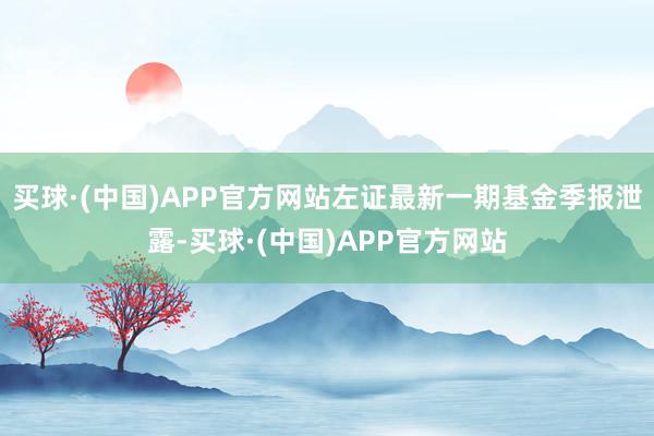 买球·(中国)APP官方网站左证最新一期基金季报泄露-买球·(中国)APP官方网站