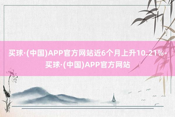 买球·(中国)APP官方网站近6个月上升10.21%-买球·(中国)APP官方网站