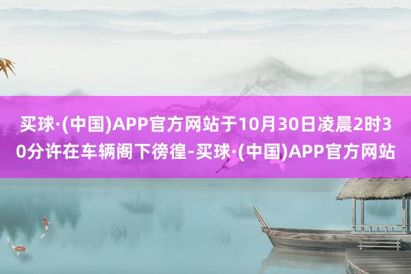 买球·(中国)APP官方网站于10月30日凌晨2时30分许在车辆阁下徬徨-买球·(中国)APP官方网站