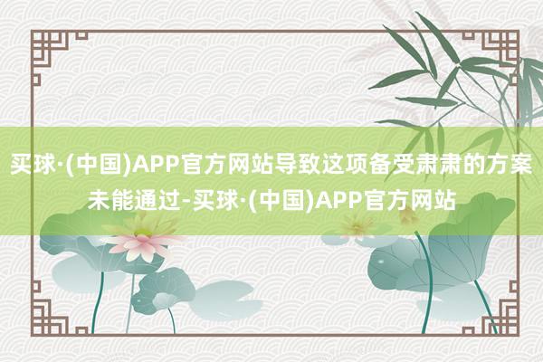 买球·(中国)APP官方网站导致这项备受肃肃的方案未能通过-买球·(中国)APP官方网站